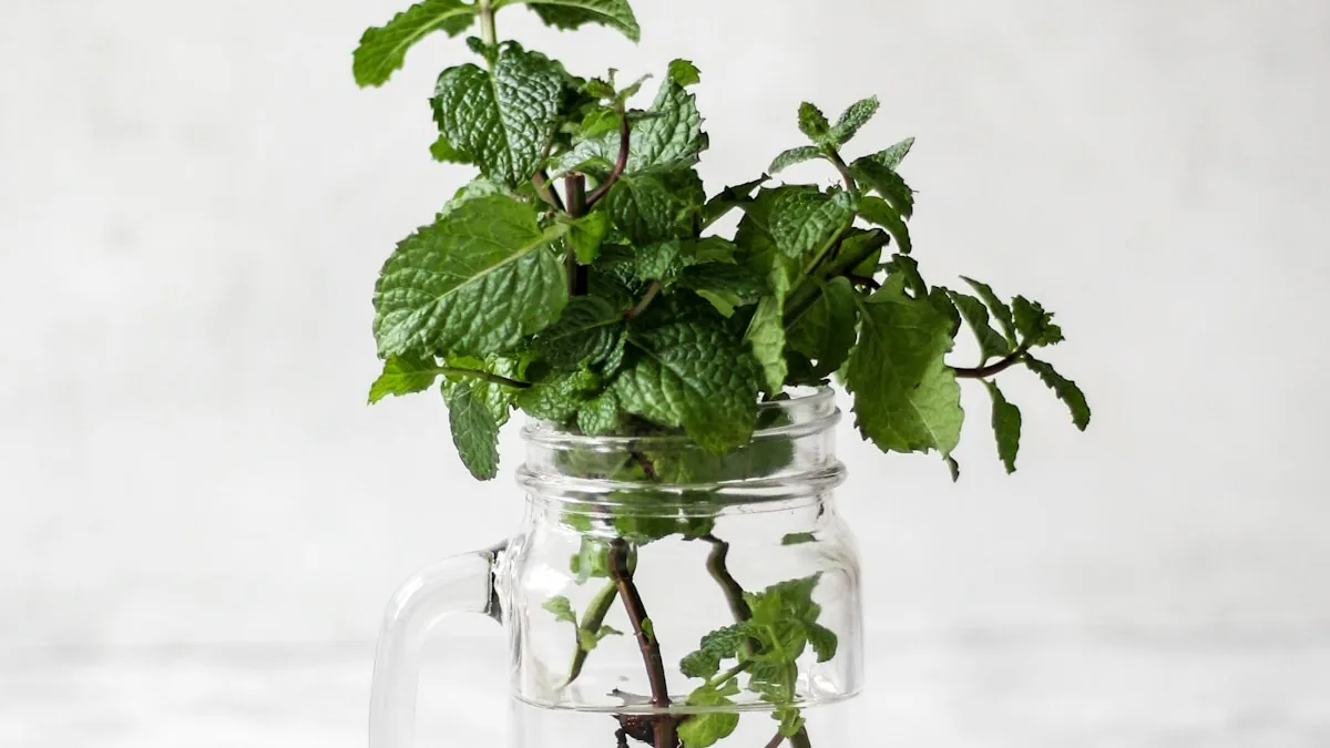 Mentol natural y receptores TRPM8: El poder de la crio-analgesia en inflamaciones agudas - Dossier Científico Artro-Salud